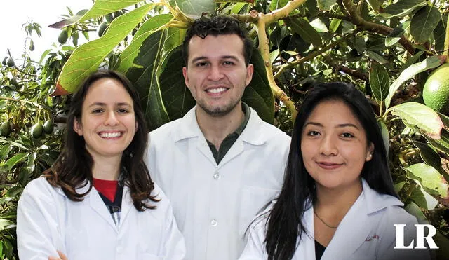 Los estudiantes de la Universidad Cayetano Heredia cursan los últimos años de Ingeniería Ambiental y Biología. Foto: composición LR / Ruby Crystal Calderón Jacinto