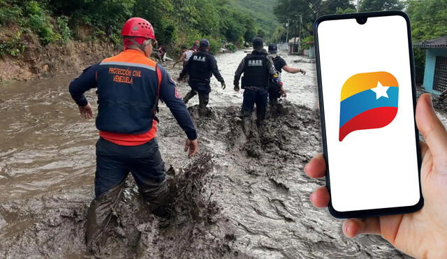 El coletazo del huracán Beryl causó graves daños en la comunidad de Cumanacoa. Foto: composición LR/El Diario/Patria