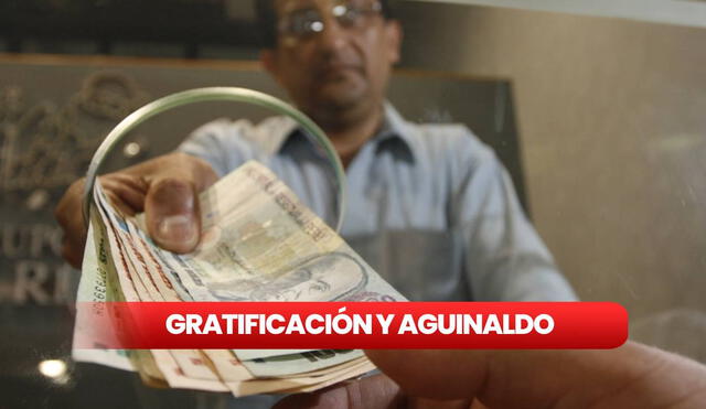 Los trabajadores del sector público y privado recibirán un dinero extra en julio como retribución a su labor. Foto: composición LR/Andina