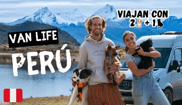 Esta familia recorre el mundo con dos perros y un gato: Nacho, Caju y Txiki. Foto: composición LR/Otras formas de vida/YouTube