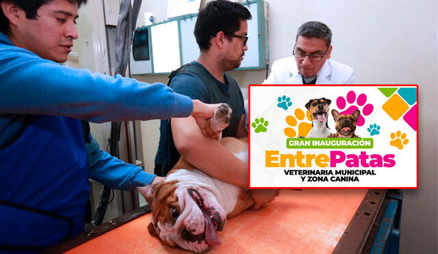 La veterinaria se ubicará a pocos metros de una estación de la Línea 1 del Metro de Lima. Foto: composición LR/Andina