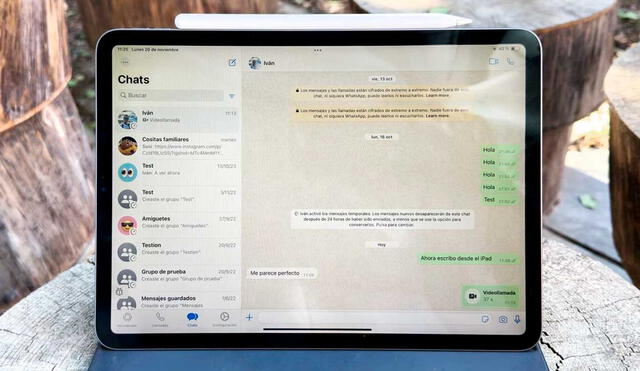 Hay una beta de WhatsApp para iPad, pero no está disponible para todos los usuarios. Foto: Xataka