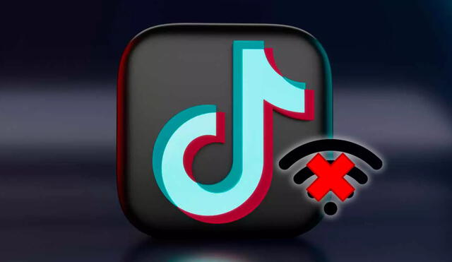 Los usuarios que realicen viajes largos sin acceso a internet podrán seguir disfrutando de TikTok. Foto: MovilZona