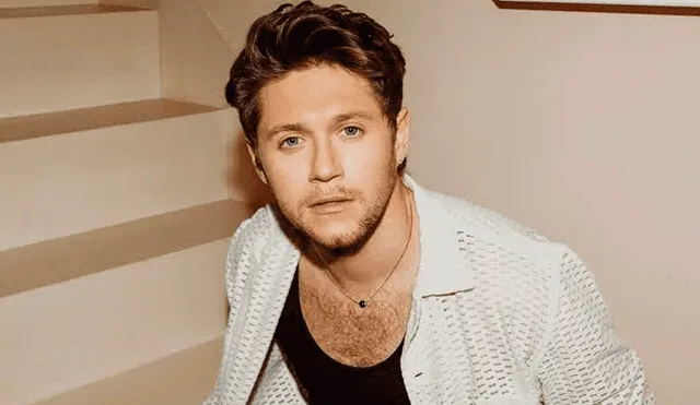 Niall Horan. Foto: difusión