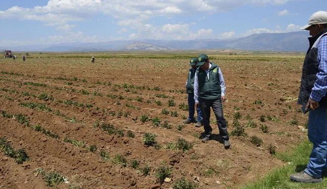 Perú ocupa el puesto 32 entre los países con mayor estrés hídrico a nivel mundial. Foto: Andina