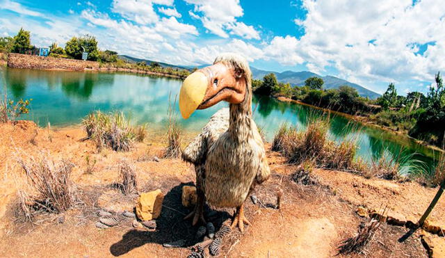 El dodo, también conocido como dronte, es una especie extinta de ave. Foto: difusión