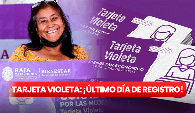 Las mujeres que deseen ser beneficiarias del programa Tarjeta Violeta deben registrarse en la web de Bienestar. Foto: composición LR / Gobierno de México