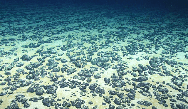 Nódulos metálicos en el océano Pacífico que sirven como fuente rara de oxígeno. Foto: NOAA