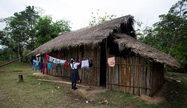 Los casos de abusos registrados desde 2014 superan los 530 en Amazonas. La República