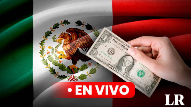 Descubre el precio del dolar en México. Foto: Composición LR/Pixabay