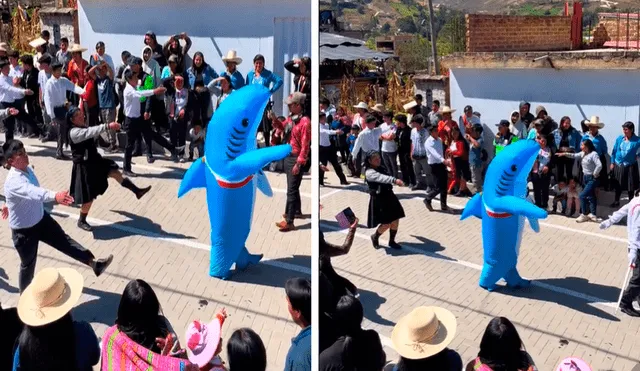 El video sacó miles de sonrisas en las redes sociales. Foto: composición LR/TikTok