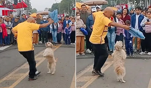 Clip acumula más de 2 millones de visualizaciones en redes. Foto: composición LR/ TikTok