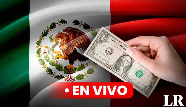 Descubre el precio del dolar en México hoy, 26 de julio. Foto: Composición LR/Pixabay