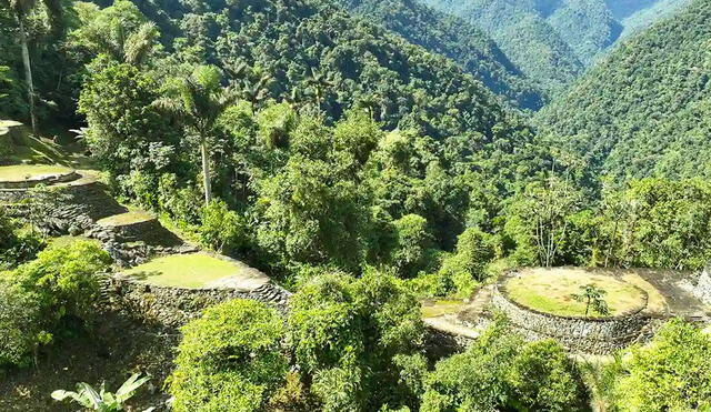 La Ciudad Perdida, conocida como Teyuna, se encuentra a una altitud de 1,200 metros sobre el nivel del mar. Foto: Wiwatour