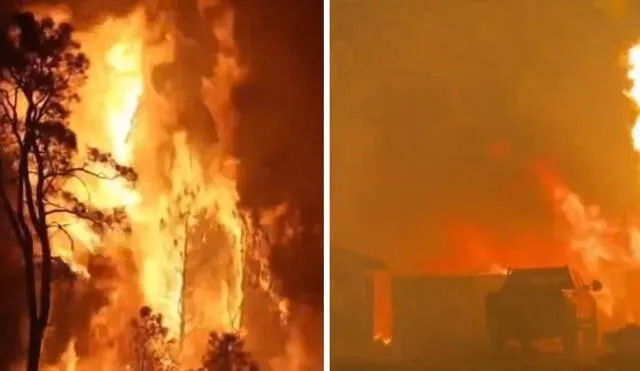 Se reporta que más de 1.150 bomberos están trabajando arduamente, tanto desde el aire como desde tierra, en un intento por controlar el incendio. Foto: difusión