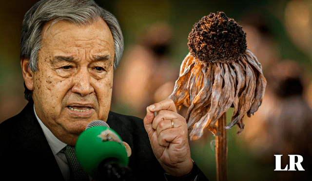 Guterres siempre es enfático al señalar que el planeta pasa por un periodo límite de contaminación. Foto: composiciónLR/Gerson Cardoso/AFP/Unsplash