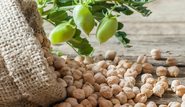 Este alimento también es una excelente fuente de hierro. Foto: LCV