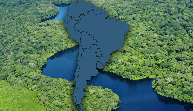 Estados Unidos colaborará con países de Sudamérica con el objetivo de preservar la Amazonía. Foto: Composición LR