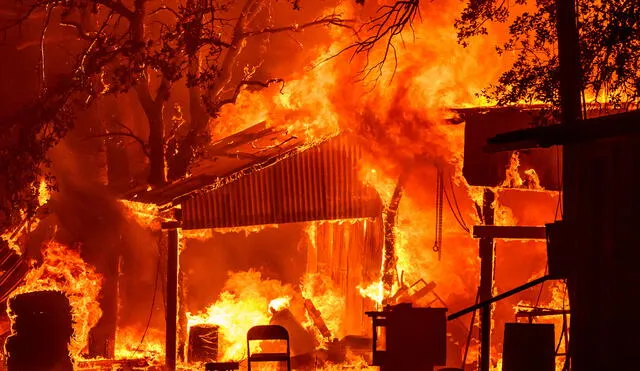 Incendio forestal en California es uno de los grandes en la historia de Estados Unidos. Foto: AFP