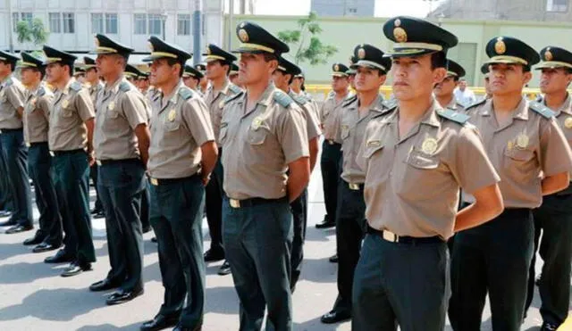 Los profesionales asimilados a la PNP tienen la posibilidad de ascender en la jerarquía policial mediante evaluaciones periódicas. Foto: Andina