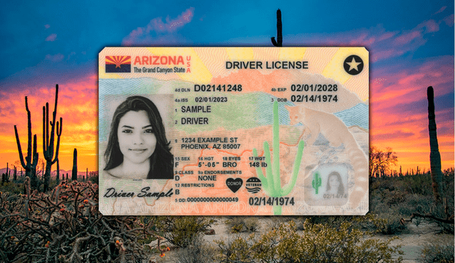 El estado de Arizona estableció un documento para sus ciudadanos que será obligatorio en el 2025. Foto: composición LR/DMV/Arizona State