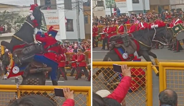 Durante la Parada y Desfile Cívico Militar 2024, personas asistentes registraron con sus celulares el incidente ocurrido con la caballería ‘Húsares de Junín’. Foto: composición LR/TikTok/SharaFalcon