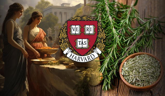 Psiquiatra de Harvard descubre que planta usada en la Antigua Grecia ayuda a mejorar la memoria. Foto: Composición LR / Ecología Verde / Educahistoria