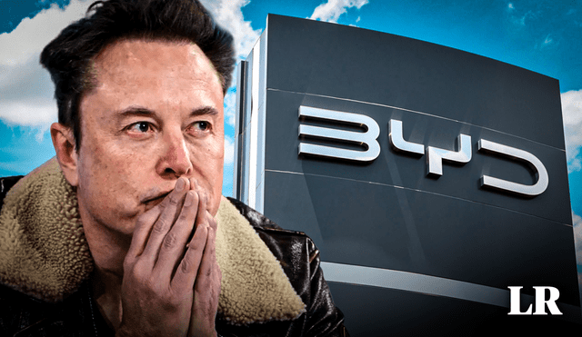 Musk admitió que BYD es capaz de aplastar a la competencia por sus precios baratos. Foto: Composición LR de Gerson Cardoso/AFP