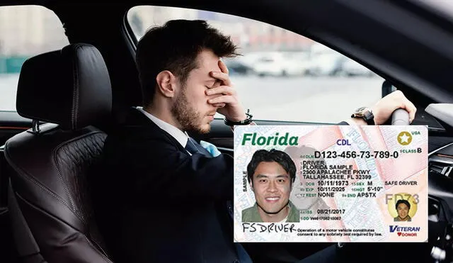 Licencia de conducir en Florida: conoce las nuevas medidas y cambios que aplican desde agosto. Foto: composición LR/Freepik