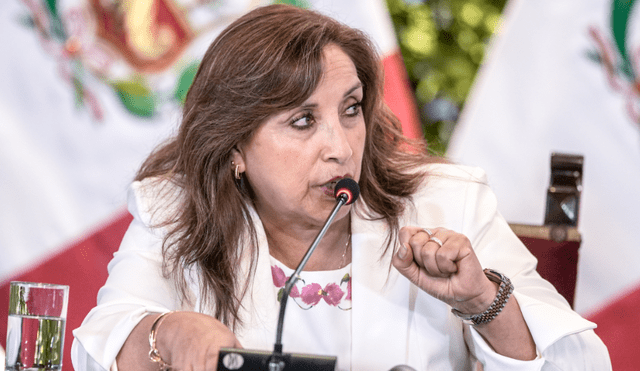 Dina Boluarte asumió la presidencia de la República en diciembre de 2022. Foto: John Reyes Mejia- La República.