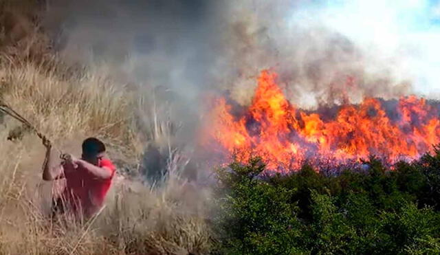 Incendio forestal en Cauri, Huánuco. Ciudadanos combaten las llamas para proteger su comunidad. Foto: composición LR/captura TV/referencial