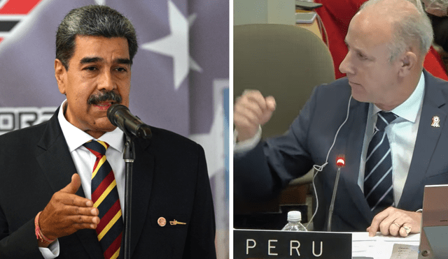 Canciller expresó su molestia tras el fracaso de la iniciativa de la OEA para exigir a Venezuela mostrar actas electorales.