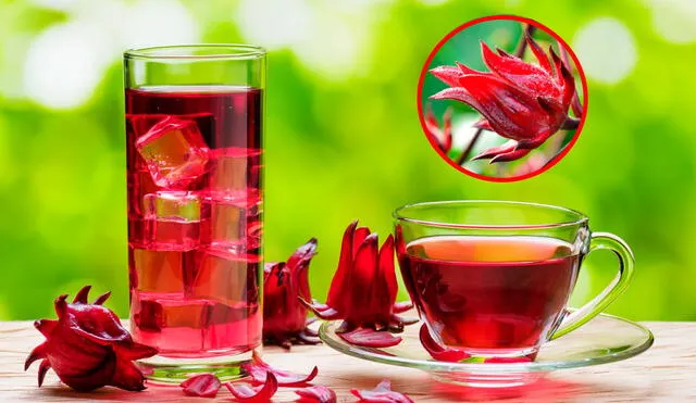 Las bebidas con flor de Jamaica se pueden tomar calientes y frías. Por esto, el ingrediente es popular tanto en invierno como en verano. Foto: composición LR/Shutterstock