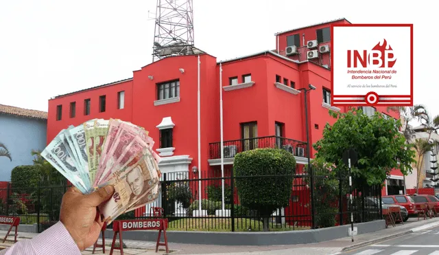 La Intendencia Nacional del Perú busca personas con secundaria completa que sepan conducir. Foto: composición LR/difusión.