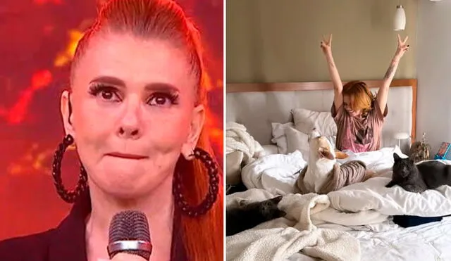 Johanna San Miguel reveló que ahora se dedicará al teatro tras su salida de 'Esto es guerra'. Foto: Composición LR/Captura/América TV/Captura/Instagram