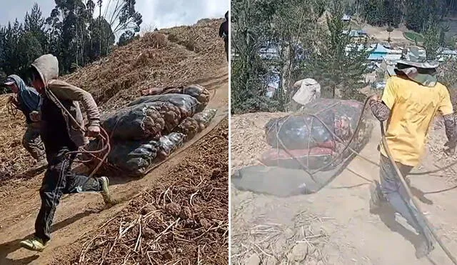 "Un trabajo sacrificado", reaccionaron usuarios. Foto: composición LR/ TikTok