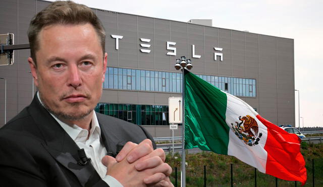 El fundador de Tesla, Elon Musk, pausó la inversión de 5000 mil millones de dólares en México. Foto: composición LR/AFP/Freepik