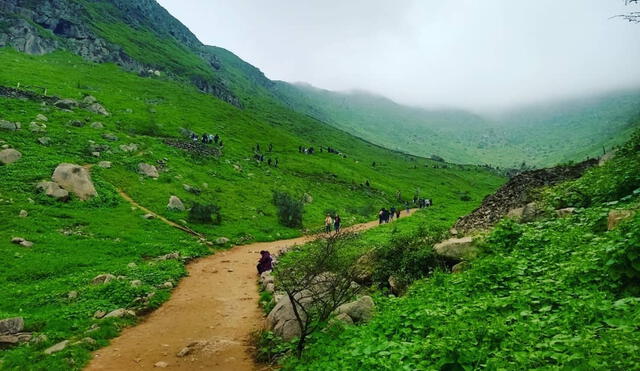 La temporada recomendada para visitar este destino es de mayo a octubre. Foto: Mochilea Perú Travel