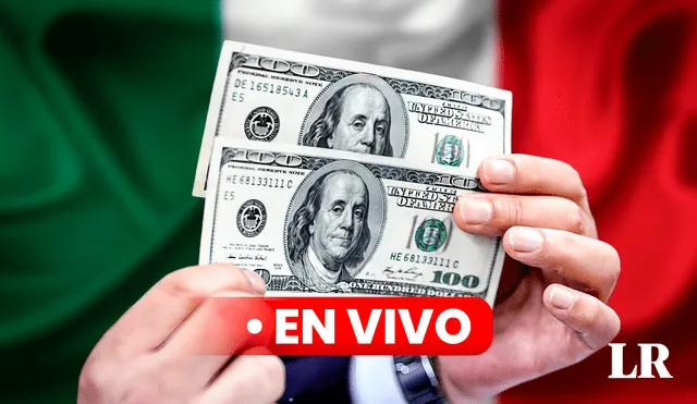 Precio del dólar en México hoy, 11 de agosto de 2024, según Banco de México. Foto: composición de Jazmin Ceras/La República/CDN