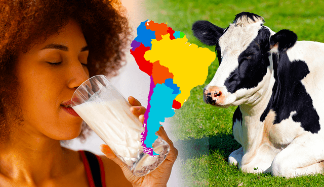 Llevar una dieta equilibrada es fundamental para un estilo de vida saludable, y la leche se destaca como un excelente complemento para lograr estos objetivos. Foto: Freepik