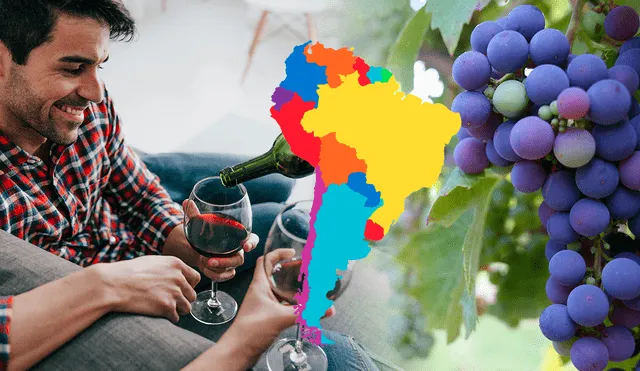 Por mucho tiempo, ha sido común disfrutar de una copa de vino diaria, permitiendo a las personas combinar su placer con su bienestar sin dificultad. Foto: Freepik