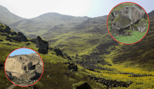 Las Lomas de Mangomarca son hogar de una rica biodiversidad, destacando la flor de Amancaes entre sus especies. Foto: composición LR/ Conservamos por Naturaleza/Facebook/Lomas de Mangomarca