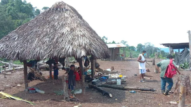 Ashéninkas viven en precarias condiciones en Los Cedros.