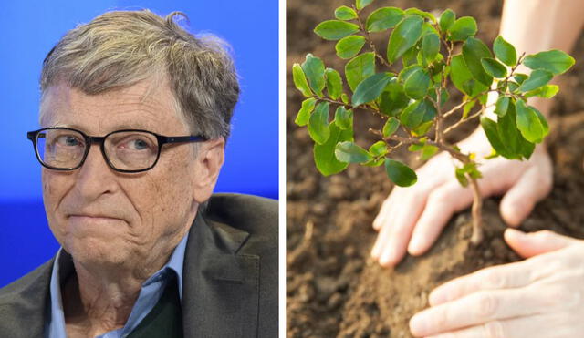 Bill Gates prefiere invertir sus esfuerzos en otras medidas para combatir el cambio climático. Foto: Composición LR/Agencia SINC/Swissinfo