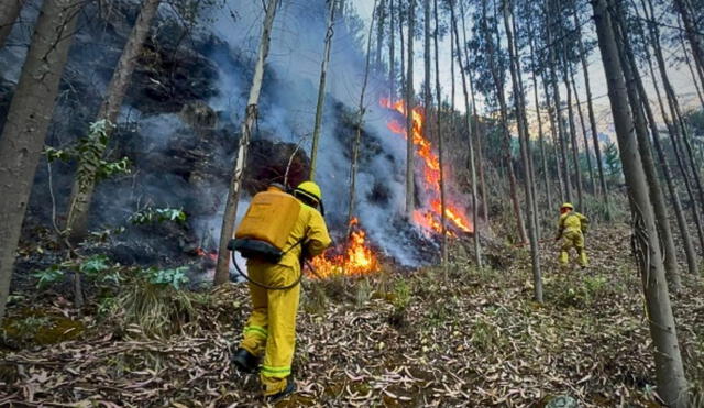 Senamhi alerta condiciones climáticas desde el jueves 15 al sábado 17 de agosto. Foto: GORE Ancash