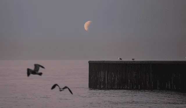 Los eclipses lunares pueden ser de tres tipos: penumbral, parcial y total. Foto: AFP