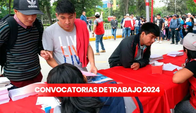 Sunat abre nueva convocatoria laboral para bachilleres y titulados. Foto: Composición LR/Andina.