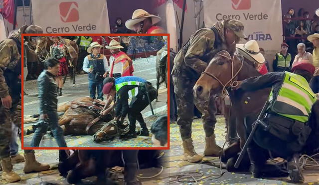 Arequipa. Imágenes del caballo tendido en la pista de la avenida Independencia ha propiciado la reflexión sobre la participación de estos animales. Foto: composición LR/Claudia Beltrán/captura EPA Noticias