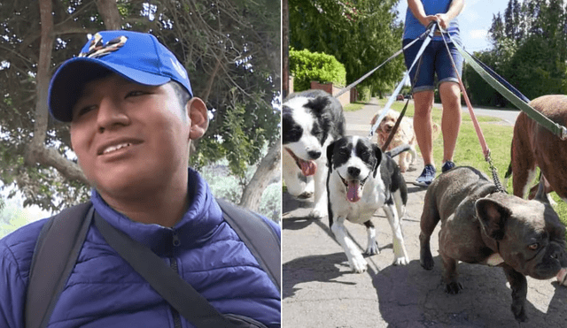 Los paseadores de perros se han convertido en aliados indispensables para los propietarios de mascotas en Lima. Foto: composición LR (captura de Latina TV/20 minutos).