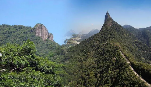 El bosque urbano más grande del mundo fue declarado parque nacional en 1967 y recibe más de 3,5 millones de turistas al año. Foto: composición LR/